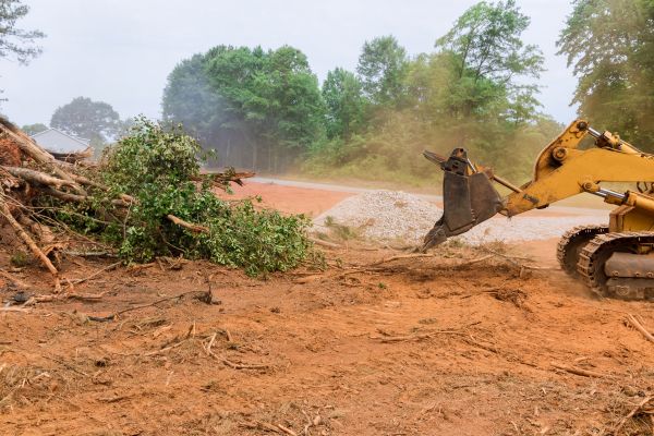 Ground Clearing in Oxnard