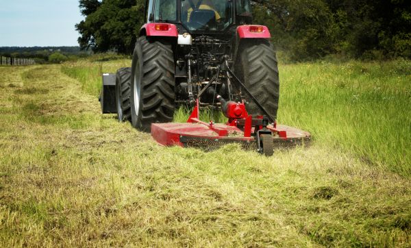 Brush Clearing Service in Oxnard