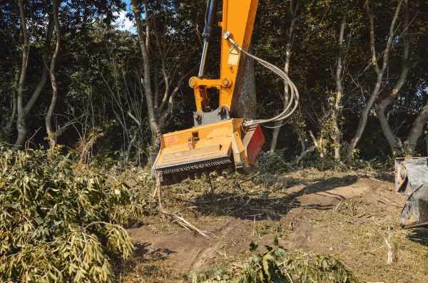 Brush Removal Service in Oxnard