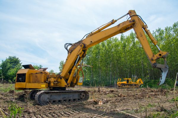 Cost of Farm Clearing in Oxnard