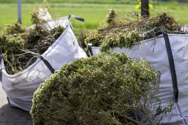 Cost of Bushes Clearing in Oxnard