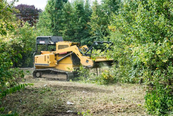 Cost of Pathway Clearing in Oxnard