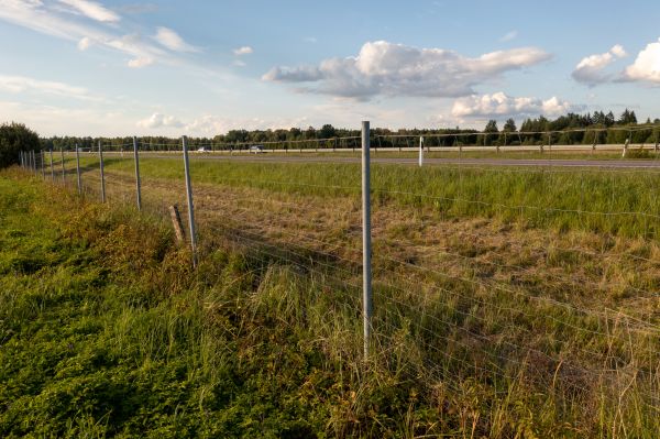 Cost of Property Line Clearing in Oxnard