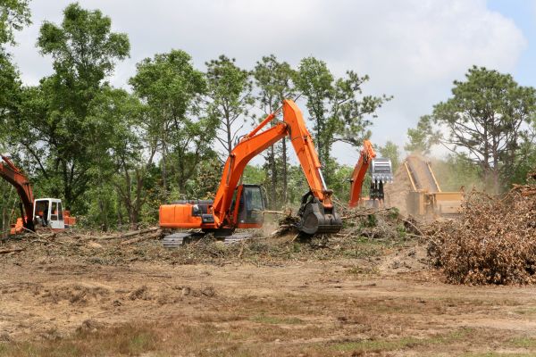 Cost of Commercial Lot Clearing in Oxnard