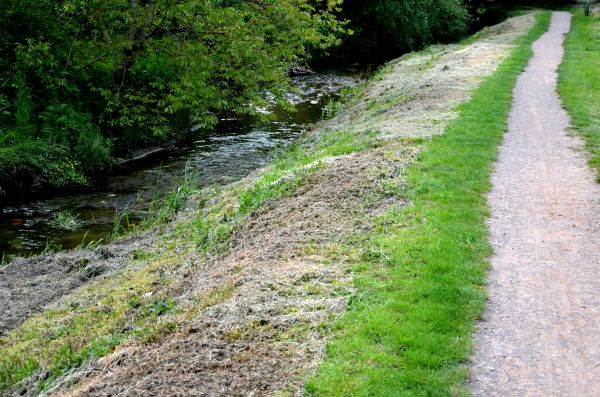 Cost of Trail Cutting in Oxnard