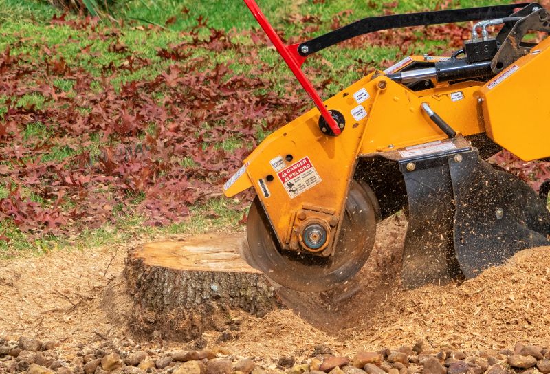 Stump Grinding Equipment